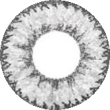 Geo Nudy Gray Circle Color Lens - CH625 Gray